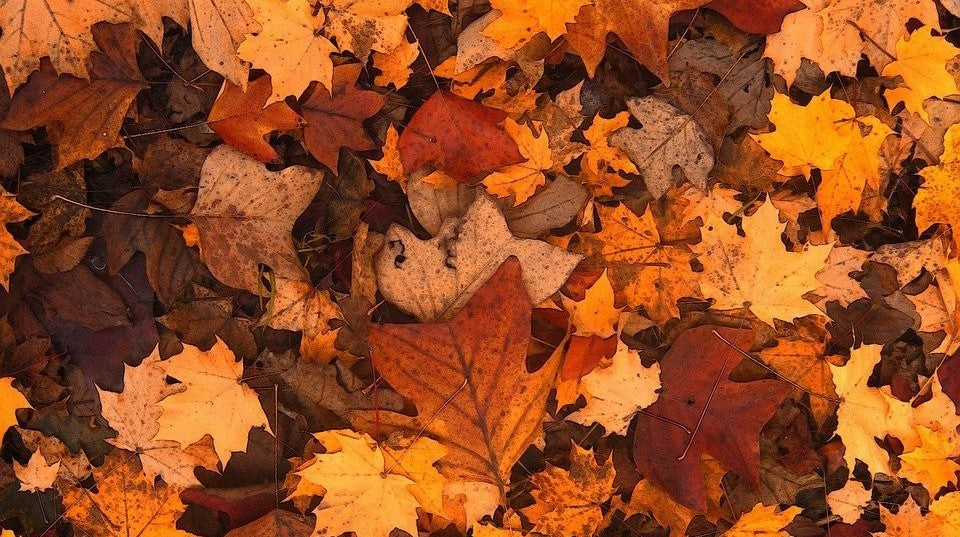 Farven brun findes ikke!